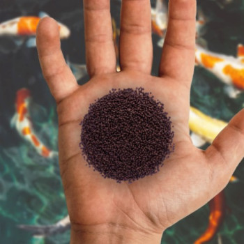 Baby Grower - Sinking